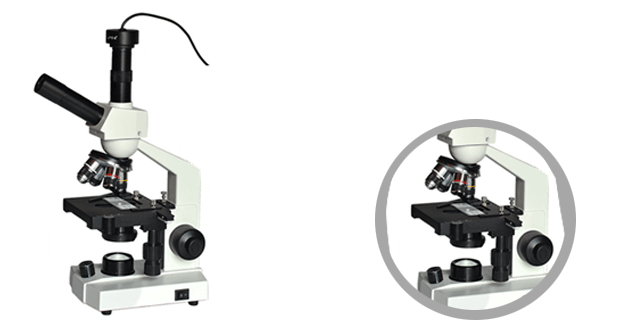 Optical Microscope