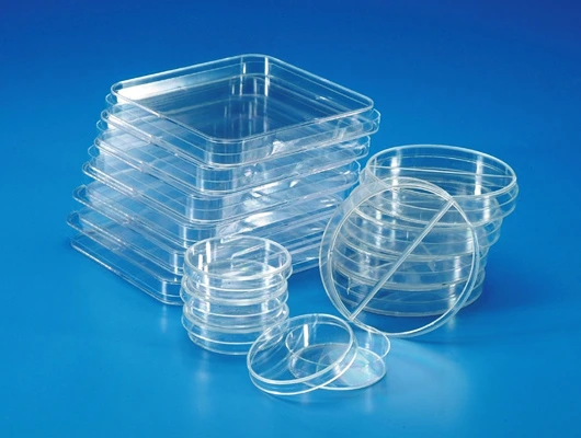 Petri Dishes